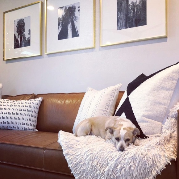 Meet your Posher, Shann - Picture 7 of 8